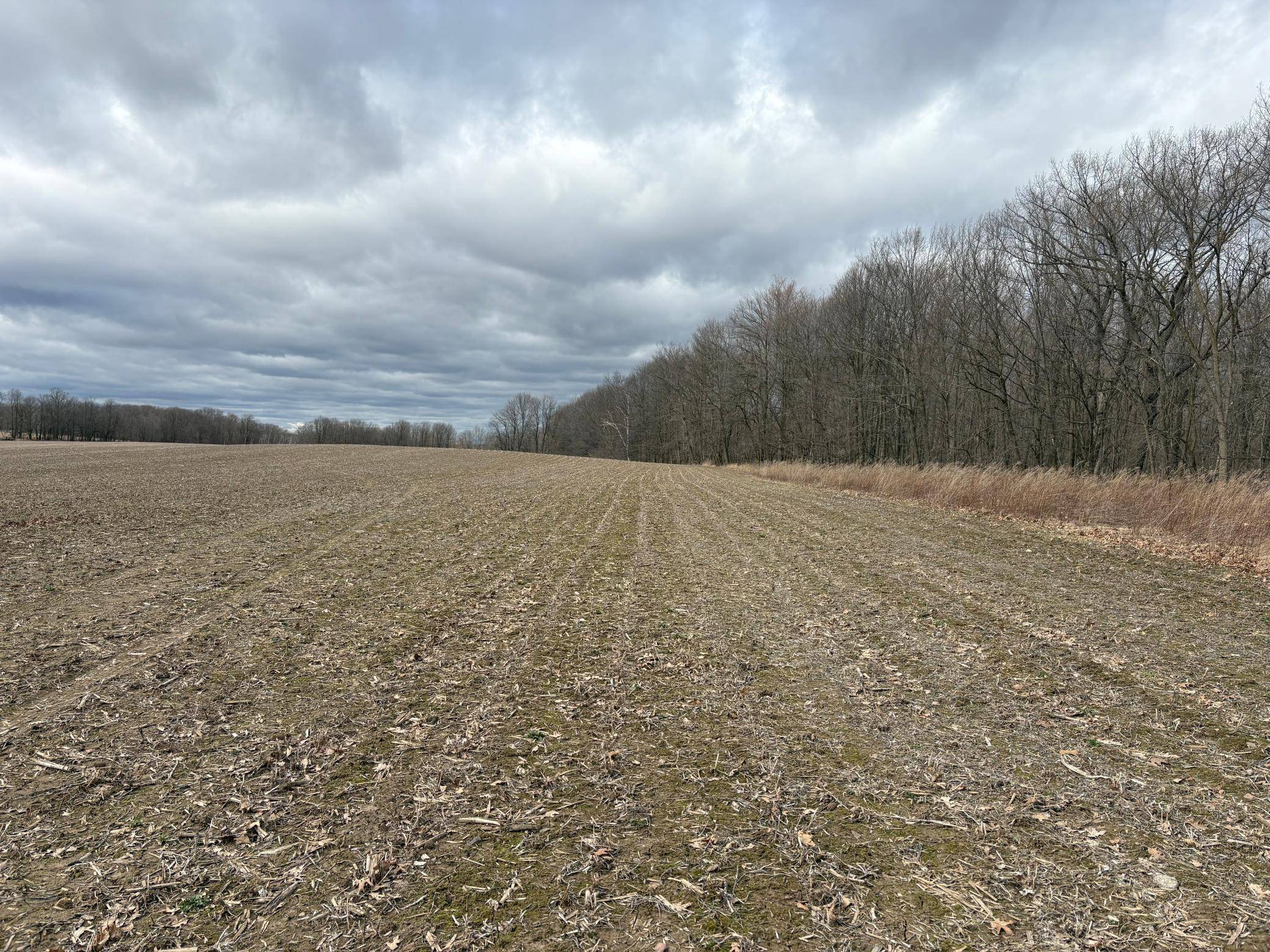 Vance Creek Twp, WI 54004,XXX 4 1/2 Avenue