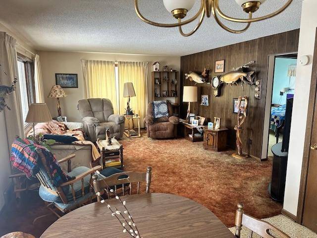 Waskish, MN 56685,54228 Highway 72 NE