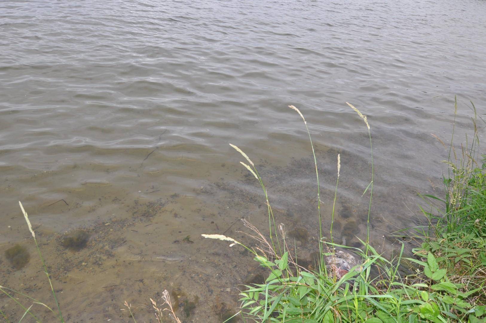 Leech Lake Twp, MN 56633,10179 Mounds Point DR NW