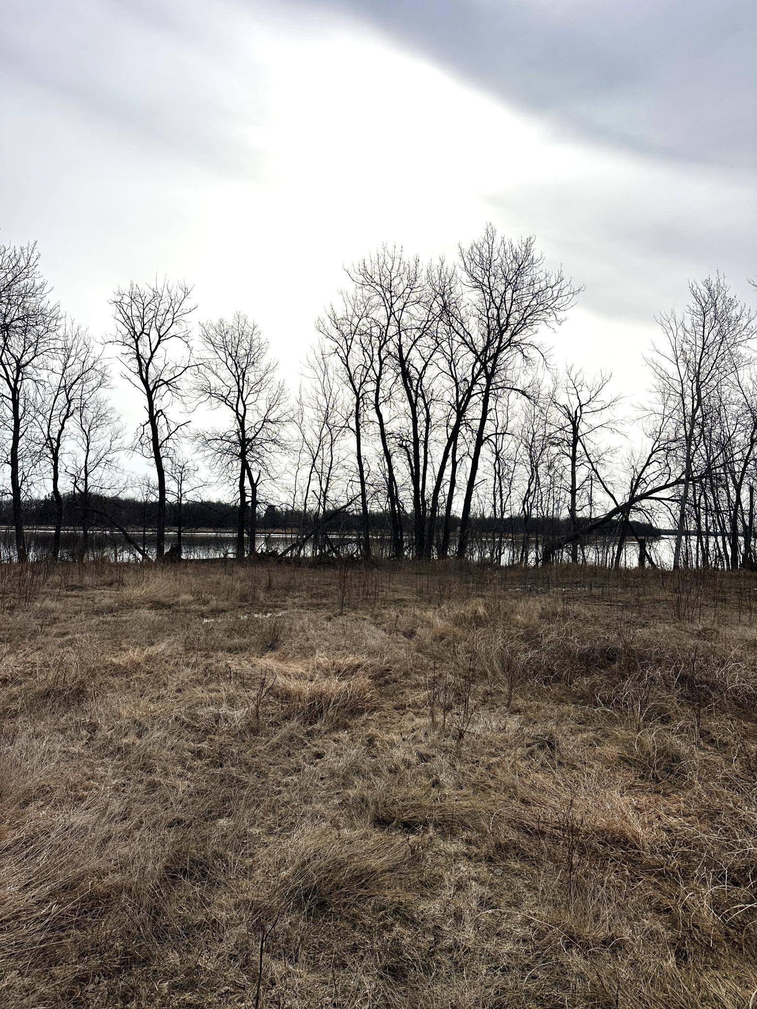 Baudette, MN 56623,TBD Maple DR NW