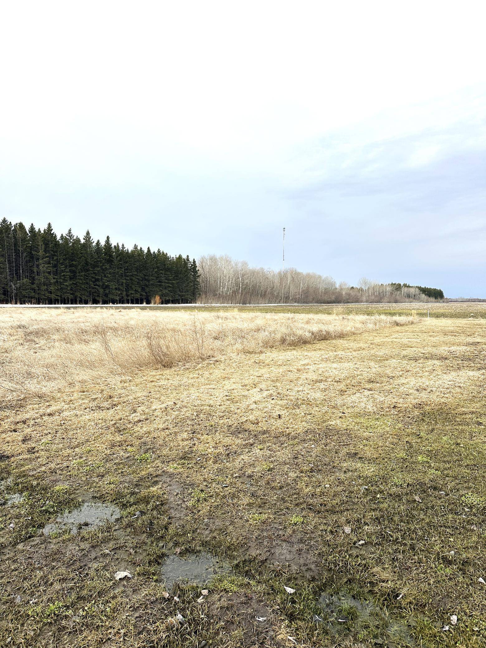 Baudette, MN 56623,TBD Maple DR NW