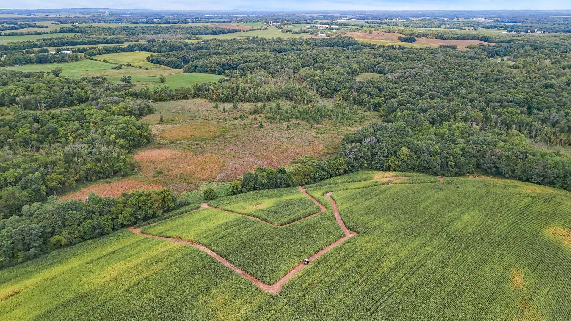 Fair Haven Twp, MN 55320,XXX 170th ST