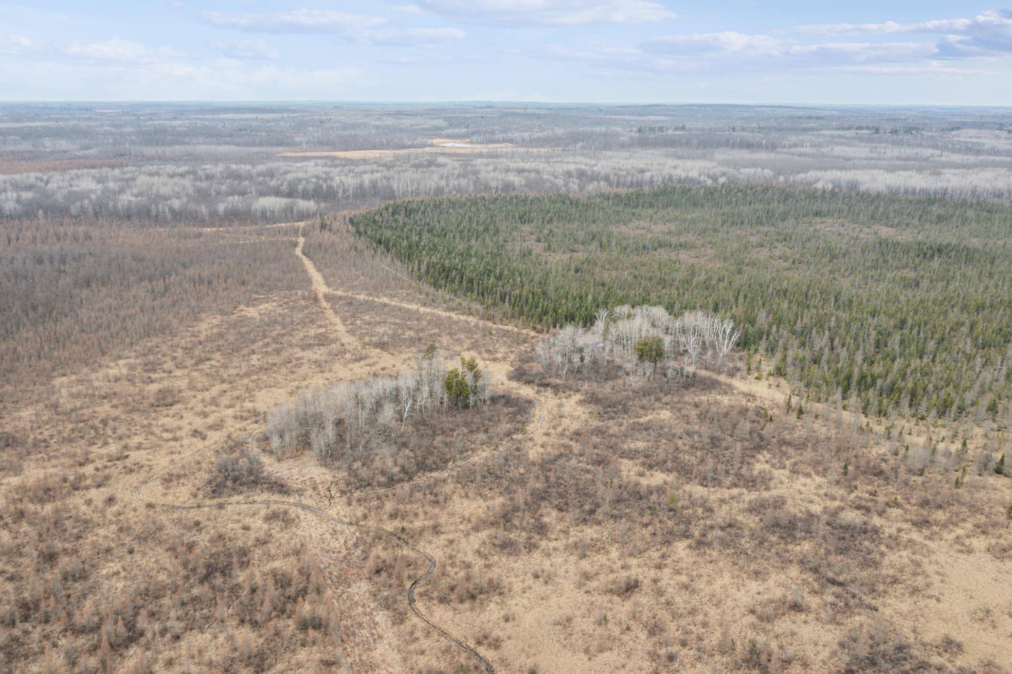 Palisade, MN 56469,XXX US Hwy 169