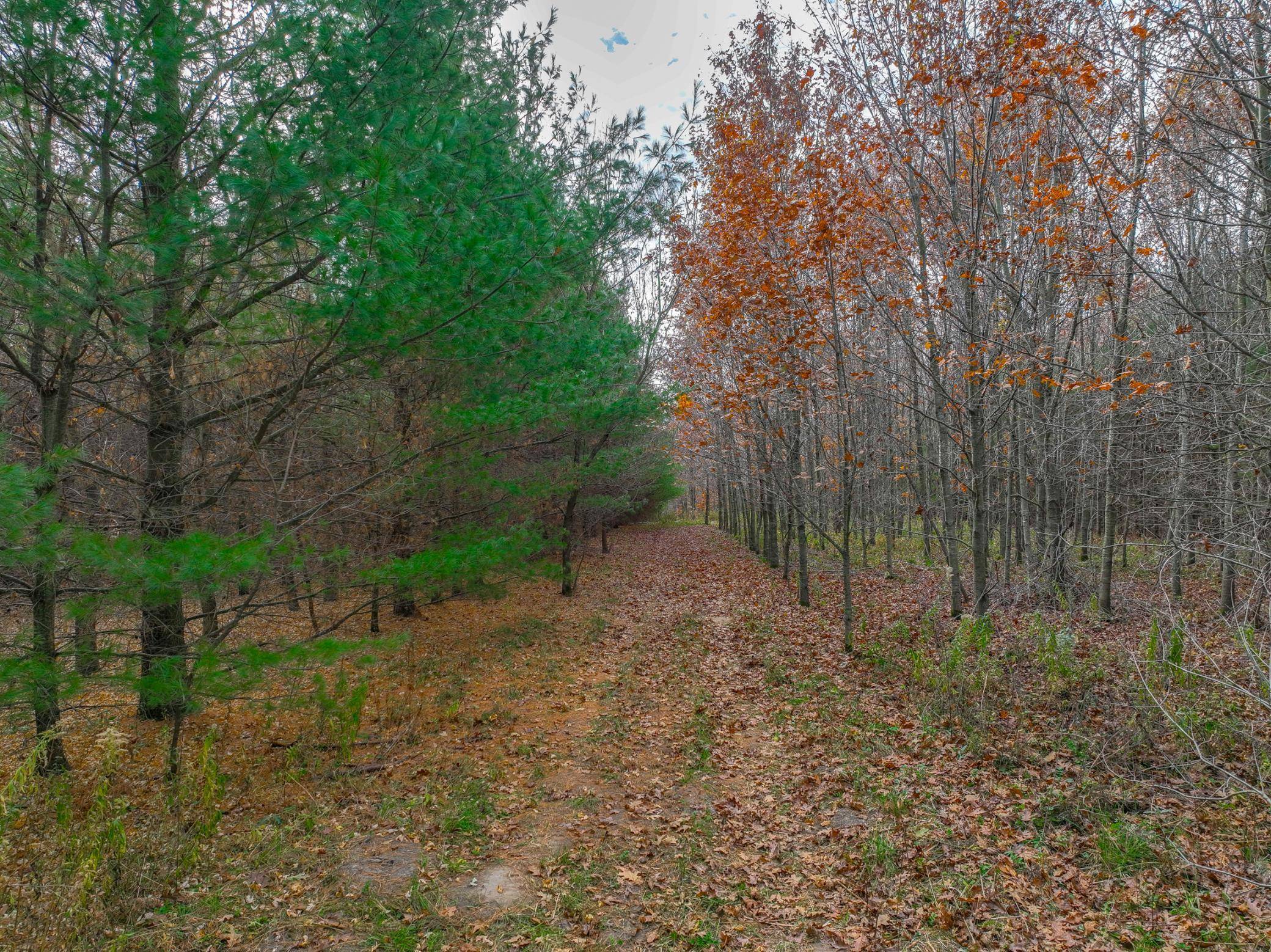 Hammond Twp, WI 54015,xxx Lot #5 110th AVE