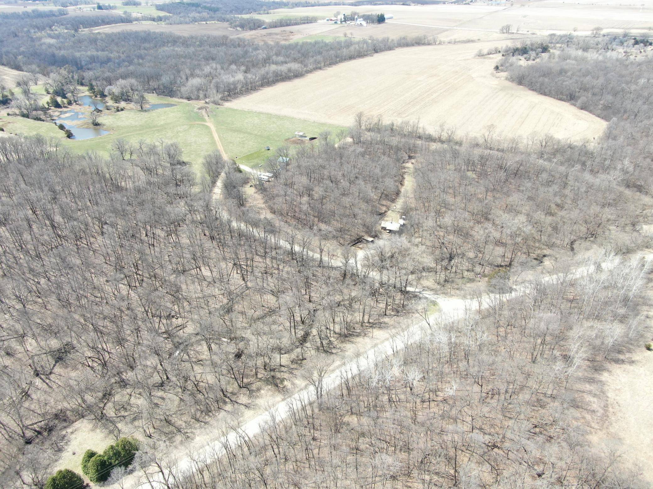 Forestville Twp, MN 55975,TBD Olive RD