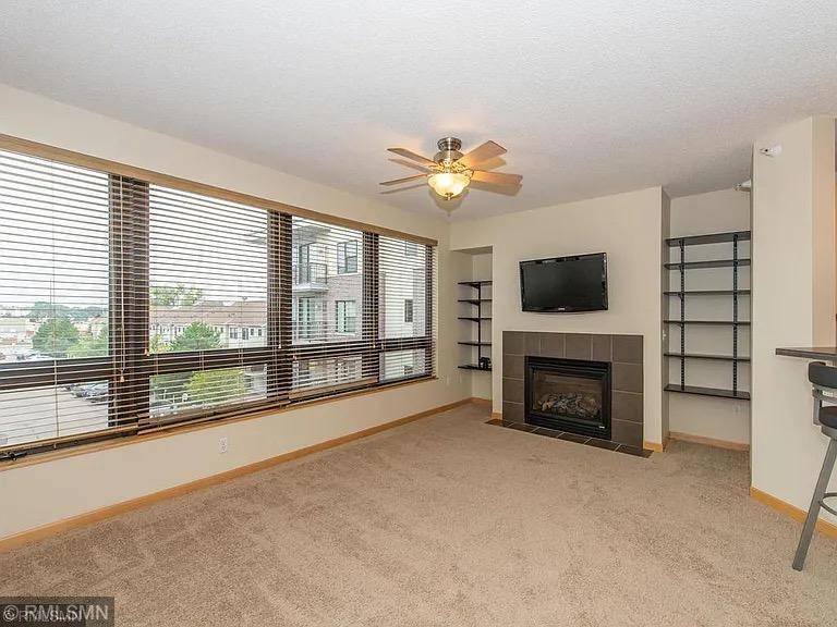 Richfield, MN 55423,7601 Aldrich AVE S #301