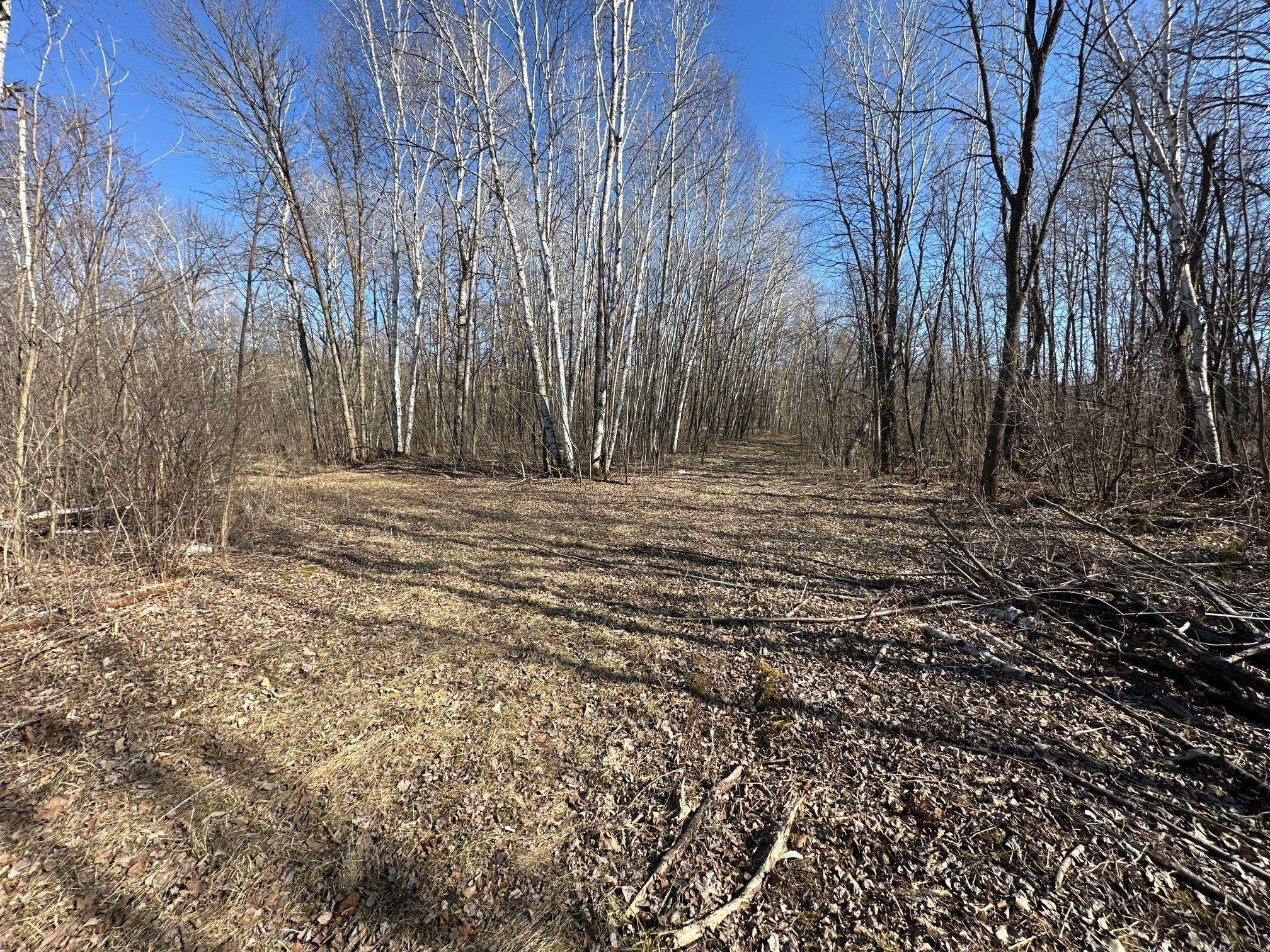 Granite Ledge Twp, MN 56329,17008 155th ST NE