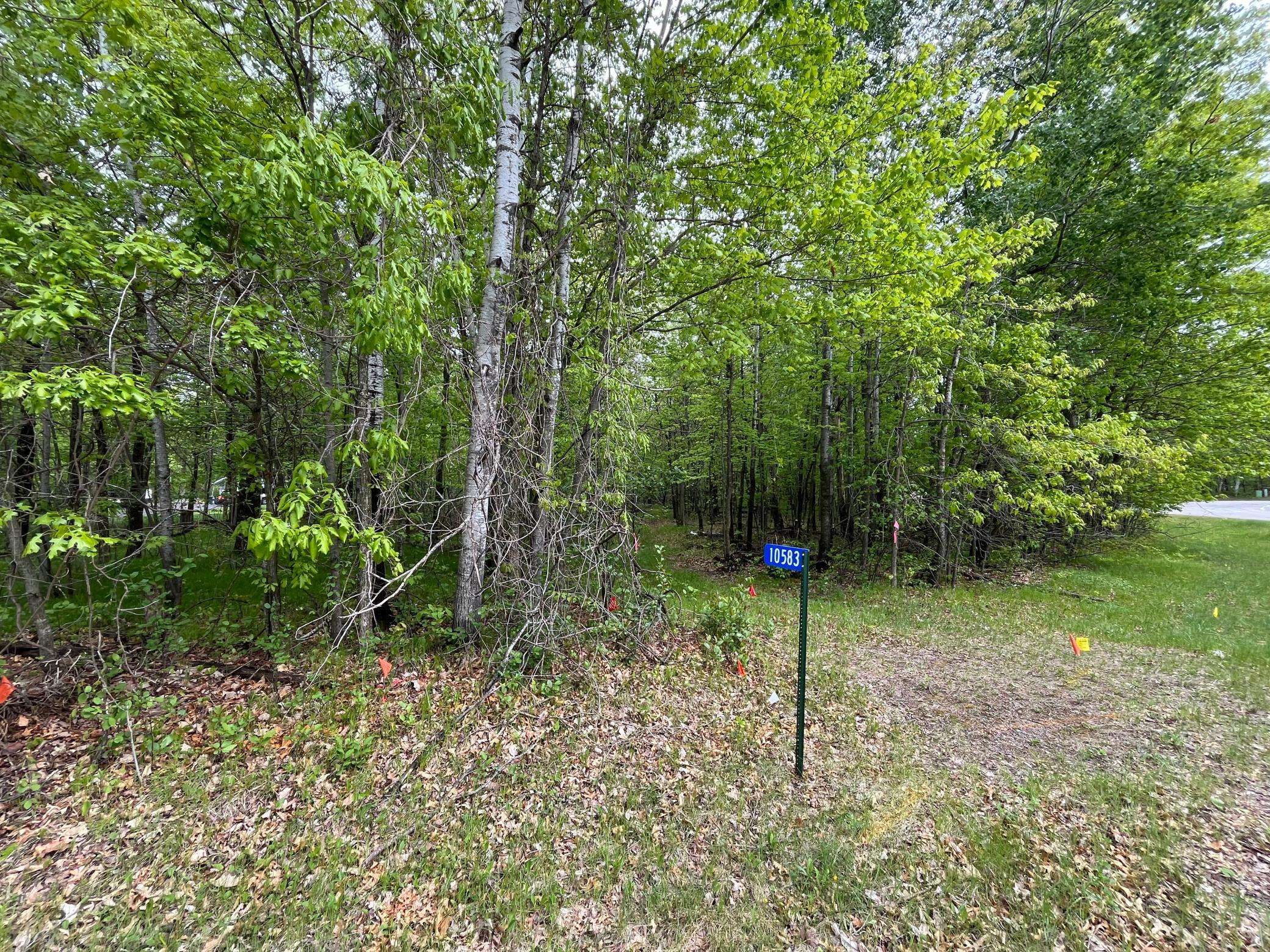 Merrifield, MN 56465,10583 E Shore DR