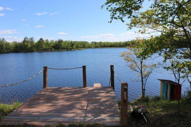 Palisade, MN 56469,27819 438th LN