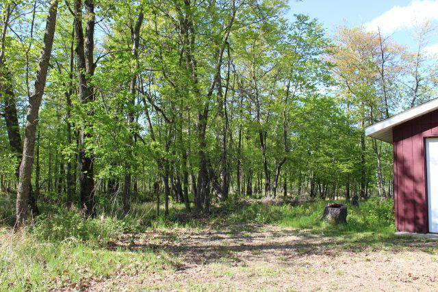 Palisade, MN 56469,27819 438th LN