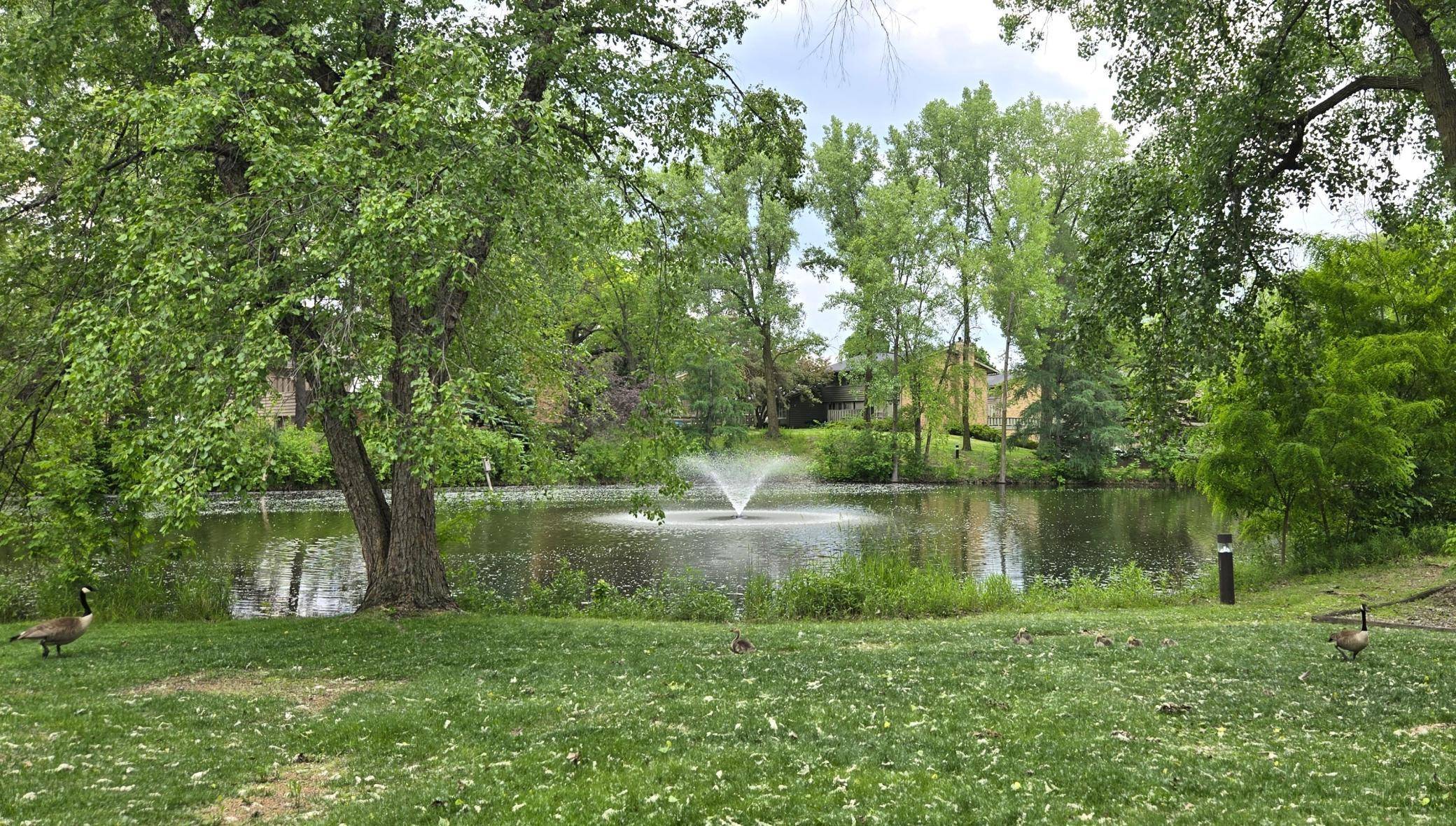 New Brighton, MN 55112,20 Windsor LN #209A