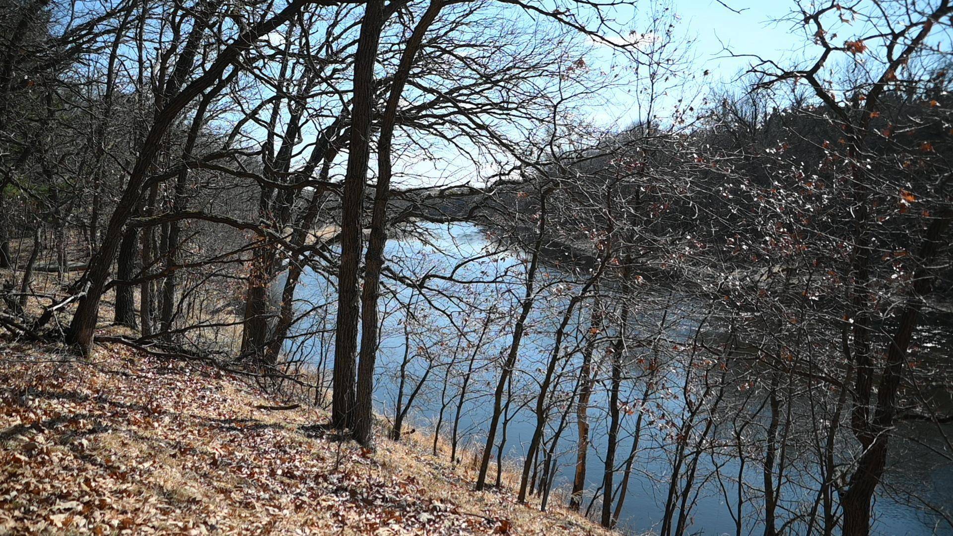 Ward Twp, MN 56438,XXX Odin CT