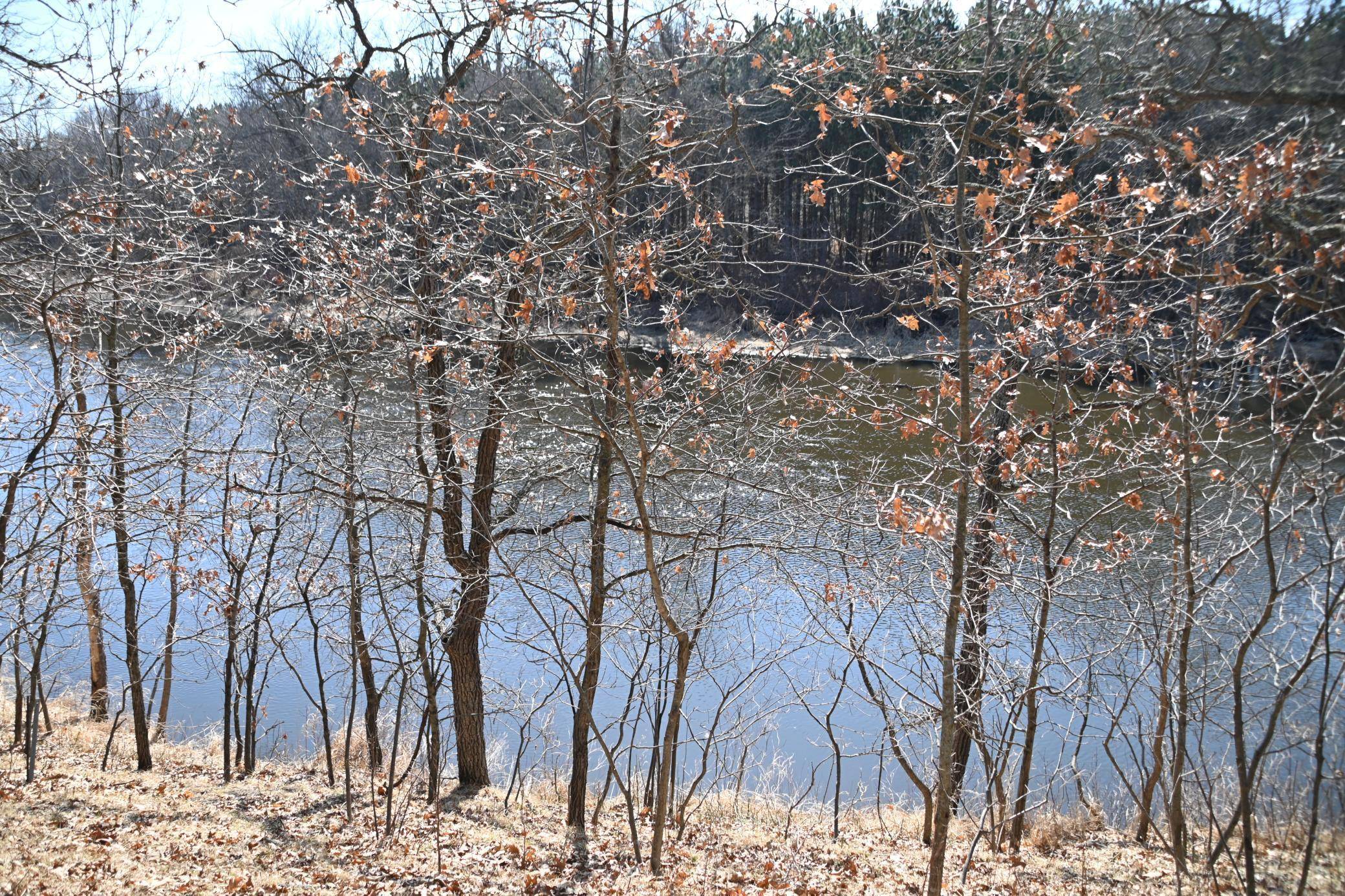 Ward Twp, MN 56438,XXX Odin CT