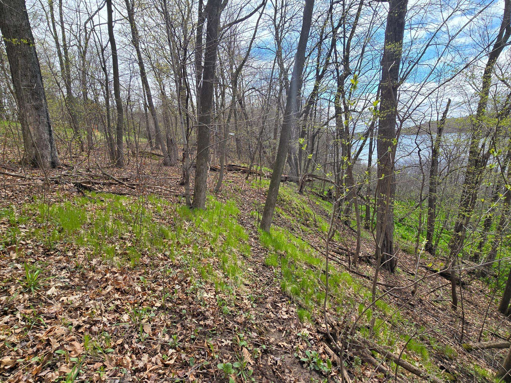 Balsam Lake, WI 54824,xxx Niles LN