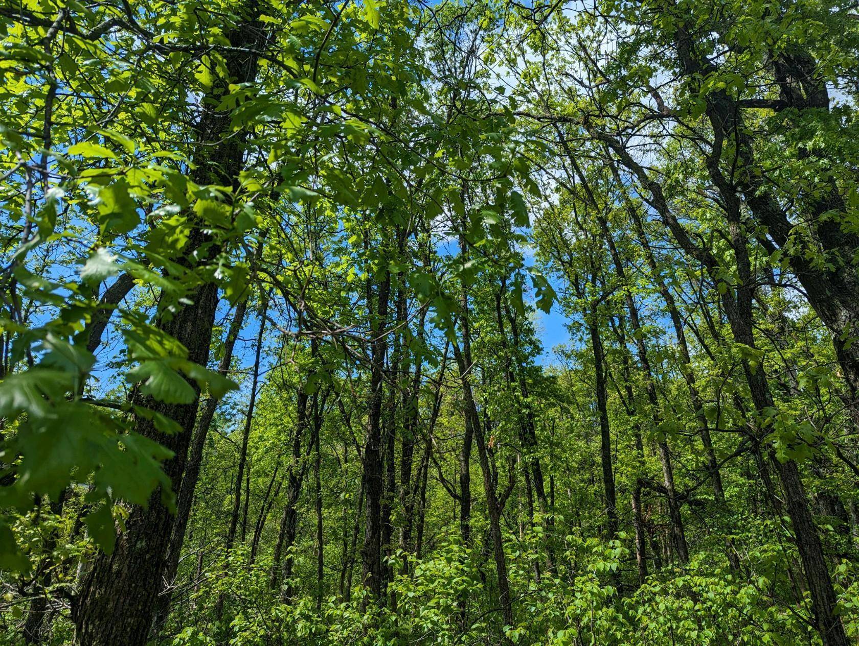 Breezy Point, MN 56472,L44 B1 Navaho TRL