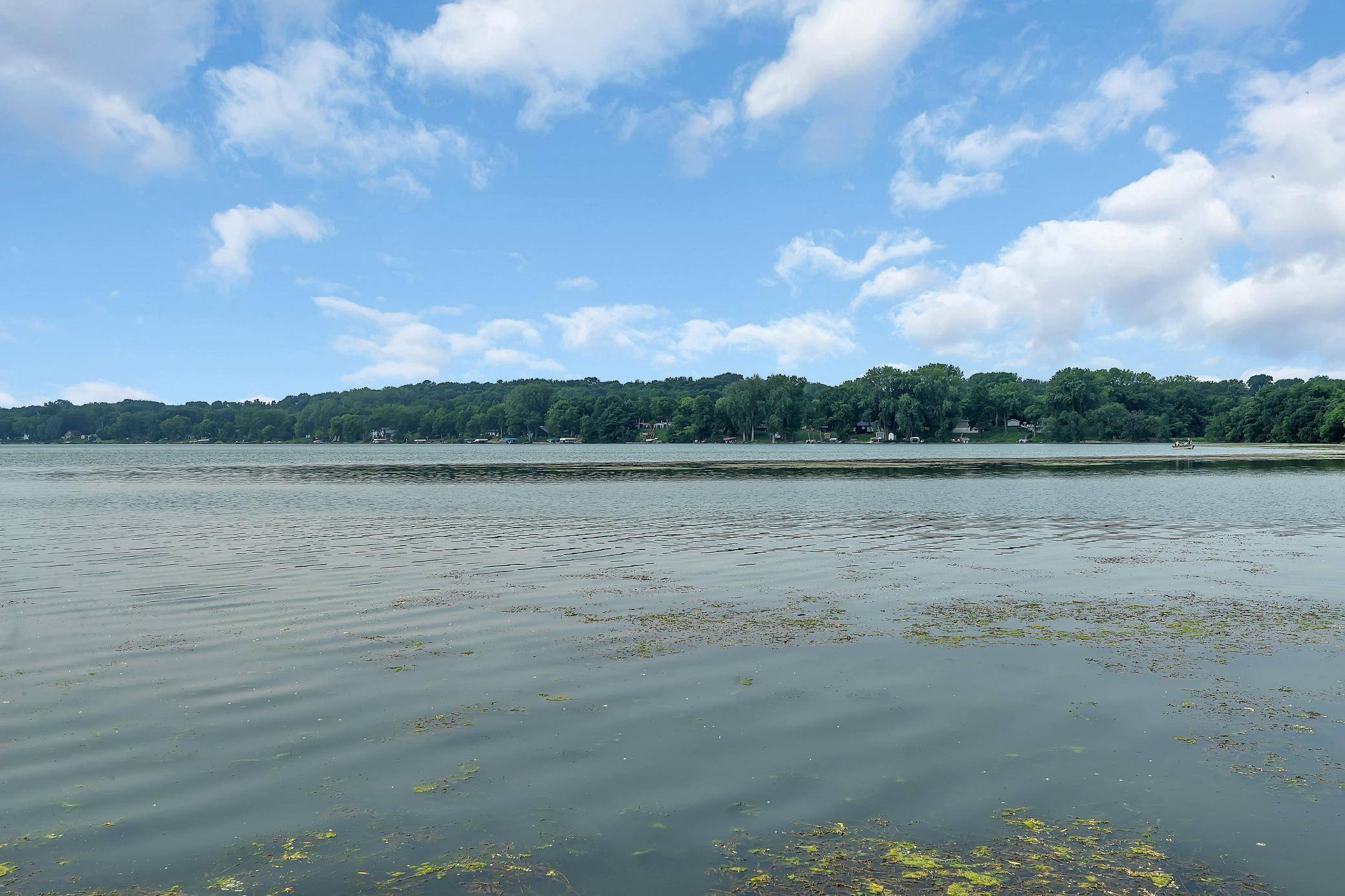 Eden Lake Twp, MN 56368,20835 Drumflower RD