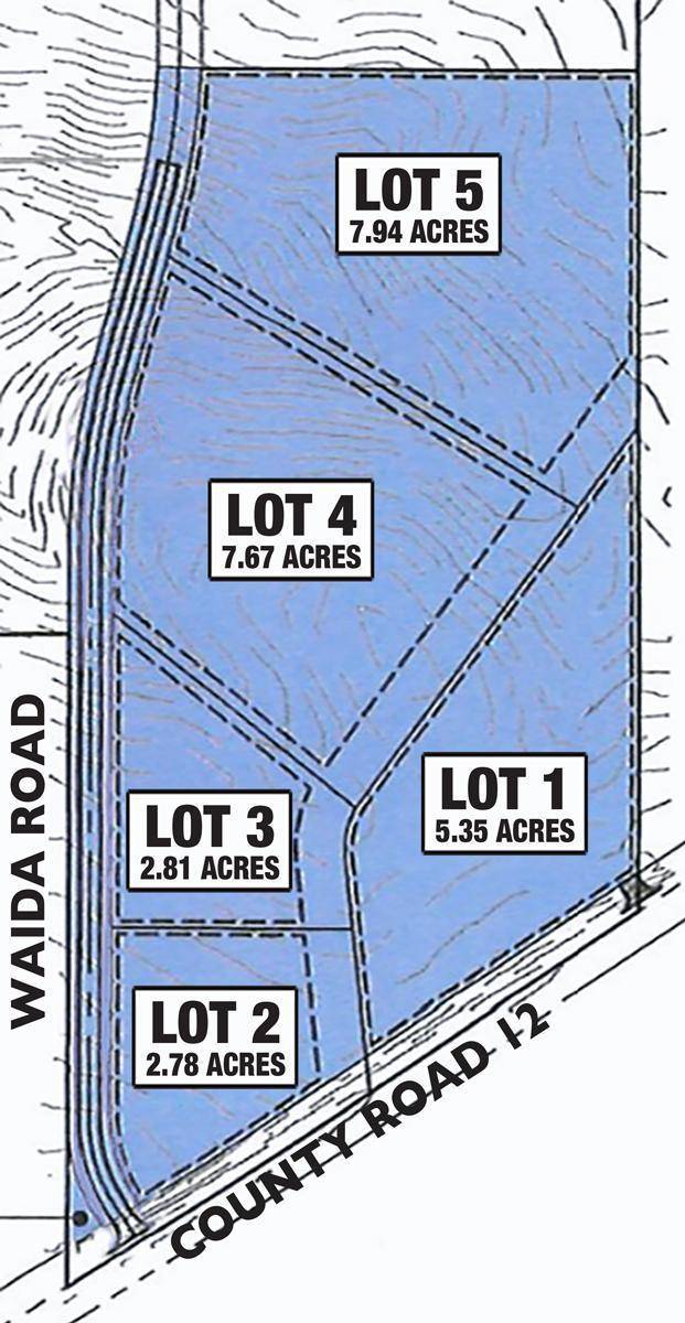 Wilson Twp, MN 55987,TBD Lot 1 County Road 12
