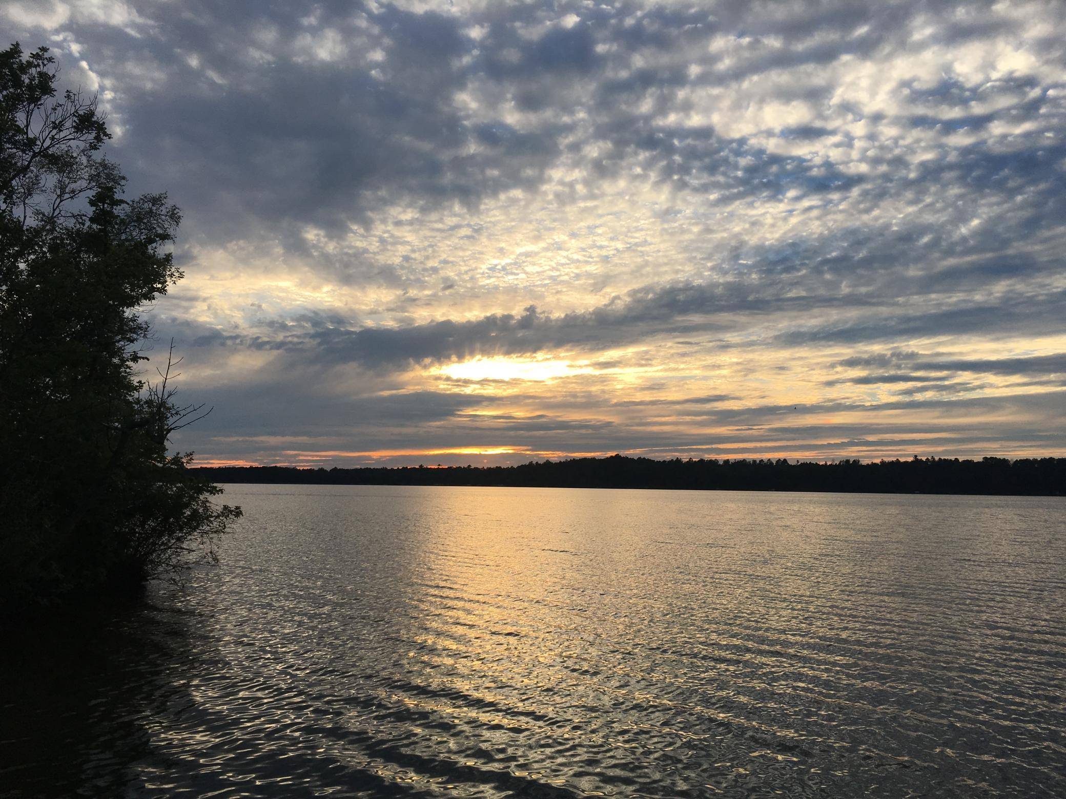 Nisswa, MN 56468,TBD Wooddale RD