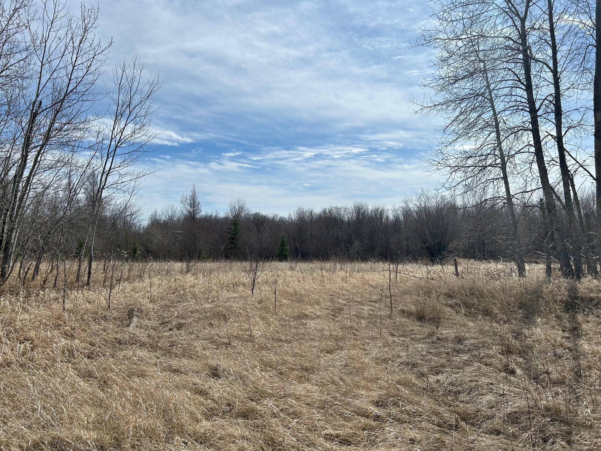 Waskish, MN 56685,TBD Steel Bridge RD NE