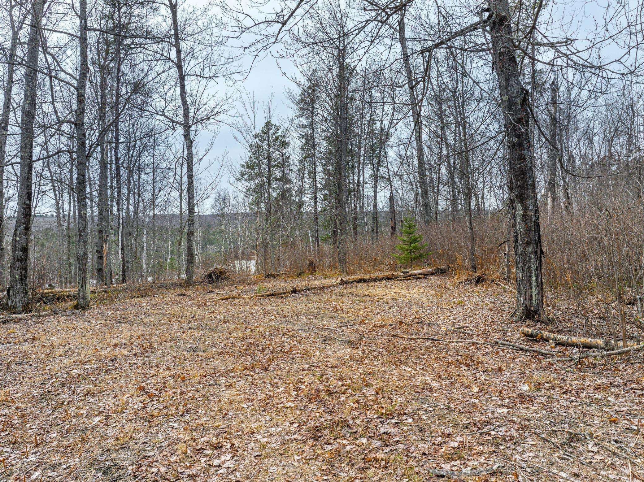 Biwabik, MN 55705,6177 Voyageurs TRL
