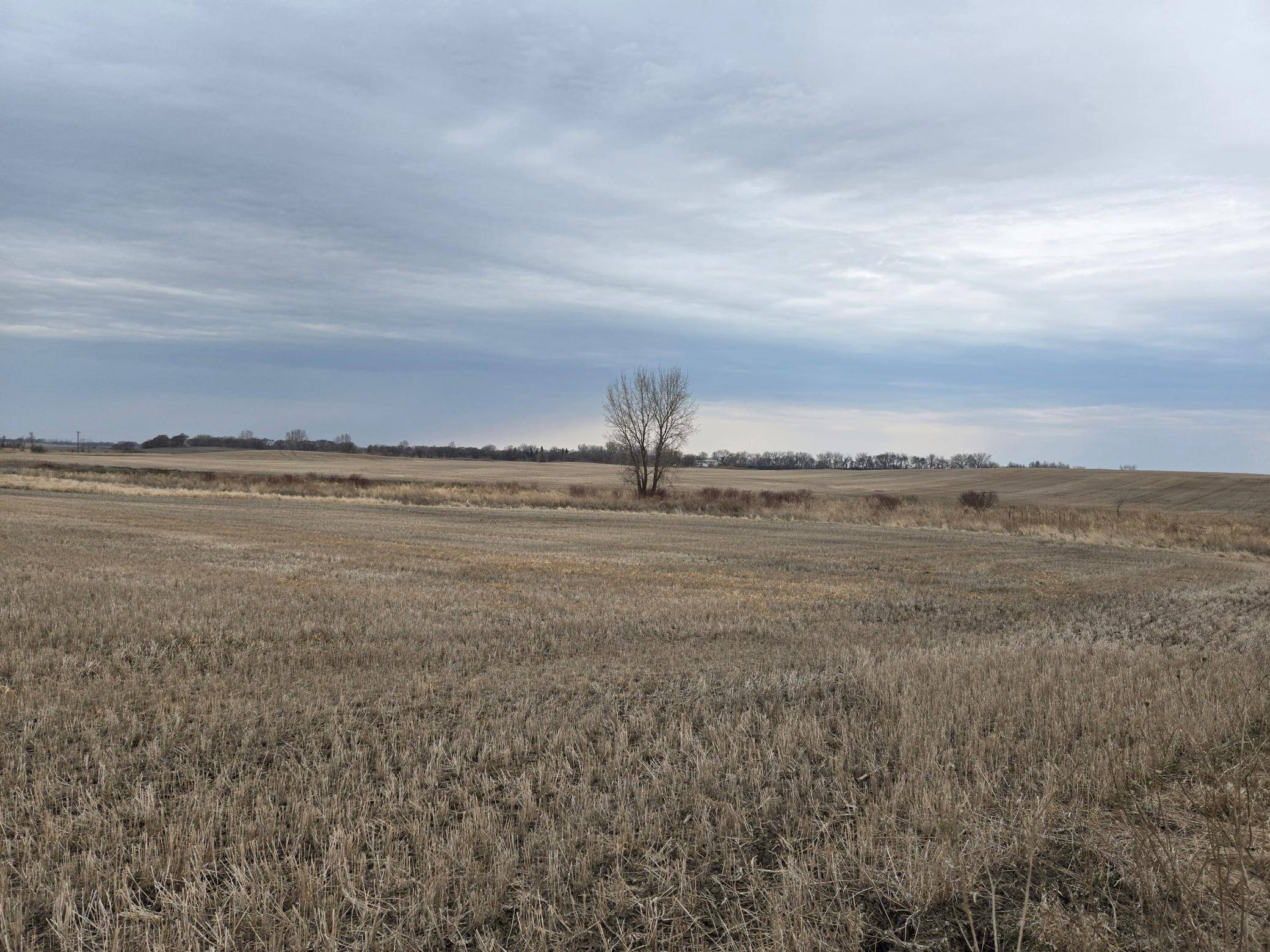 Norwegian Grove Twp, MN 56514,(LOT B) TBD 100th AVE