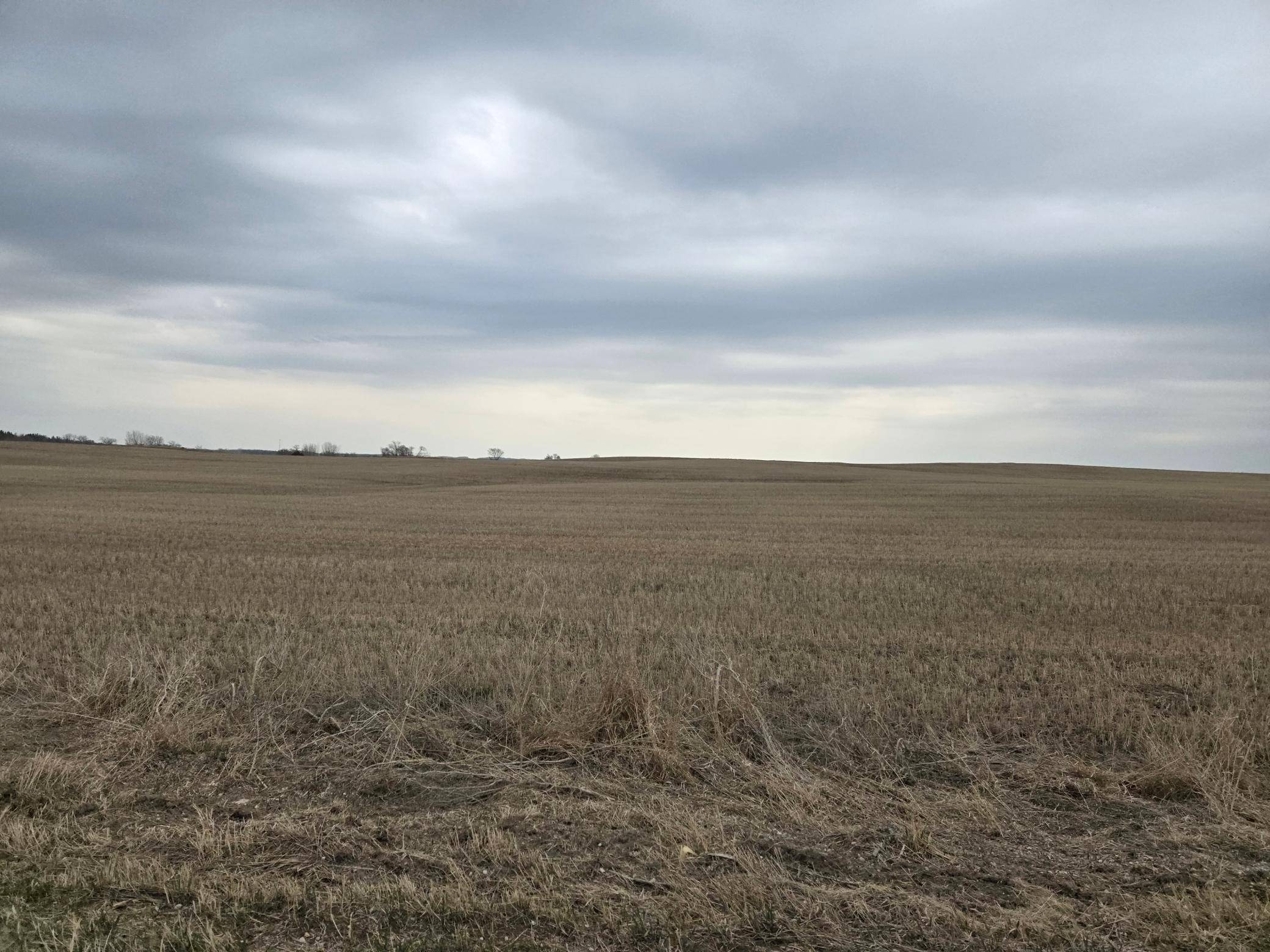 Norwegian Grove Twp, MN 56514,(LOT B) TBD 100th AVE
