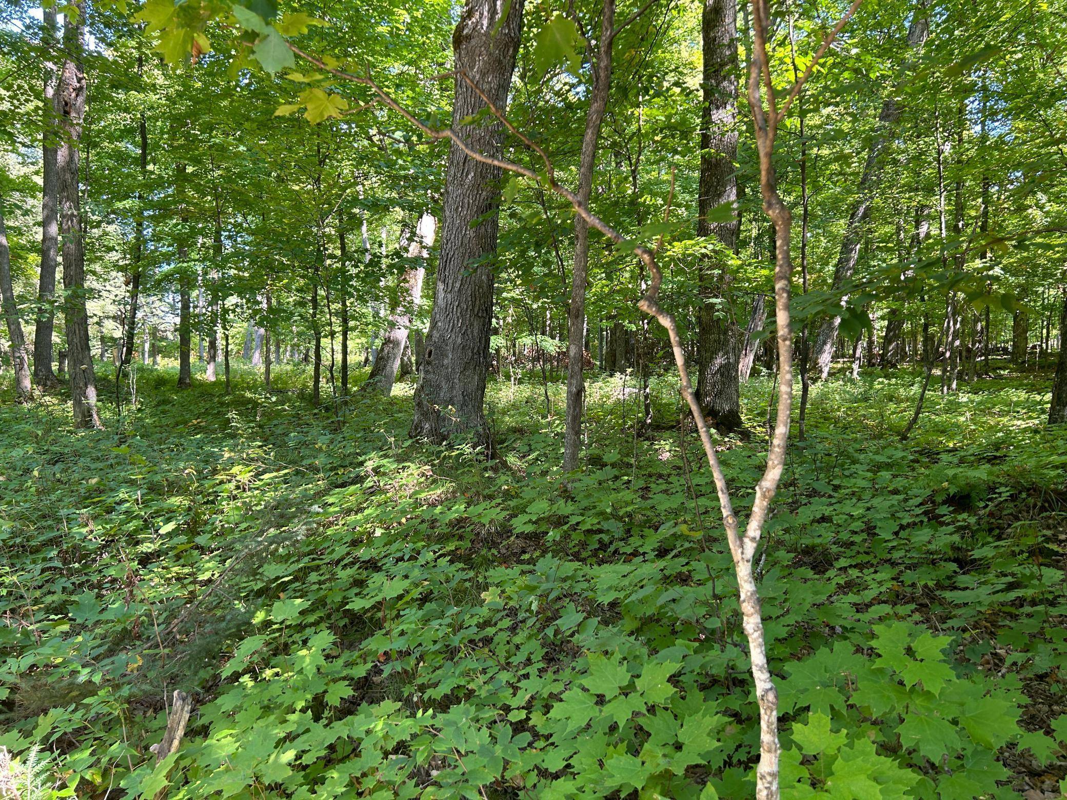 Hayward, WI 54843,Lot 4 Crane LN