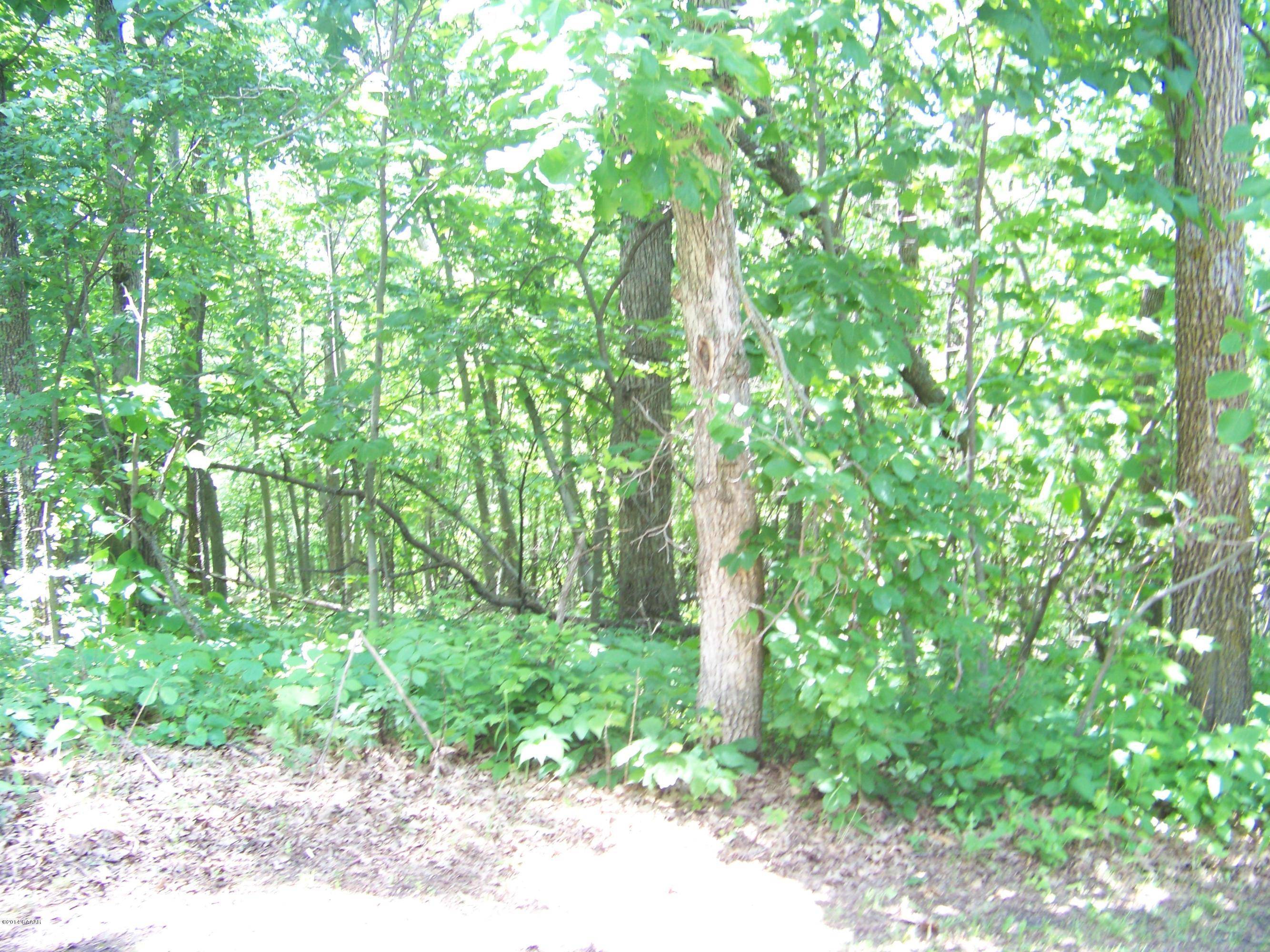 Glenwood, MN 56334,Lot 2 Oak Turn Again CT