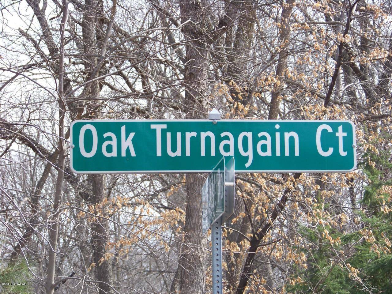 Glenwood, MN 56334,Lot 2 Oak Turn Again CT