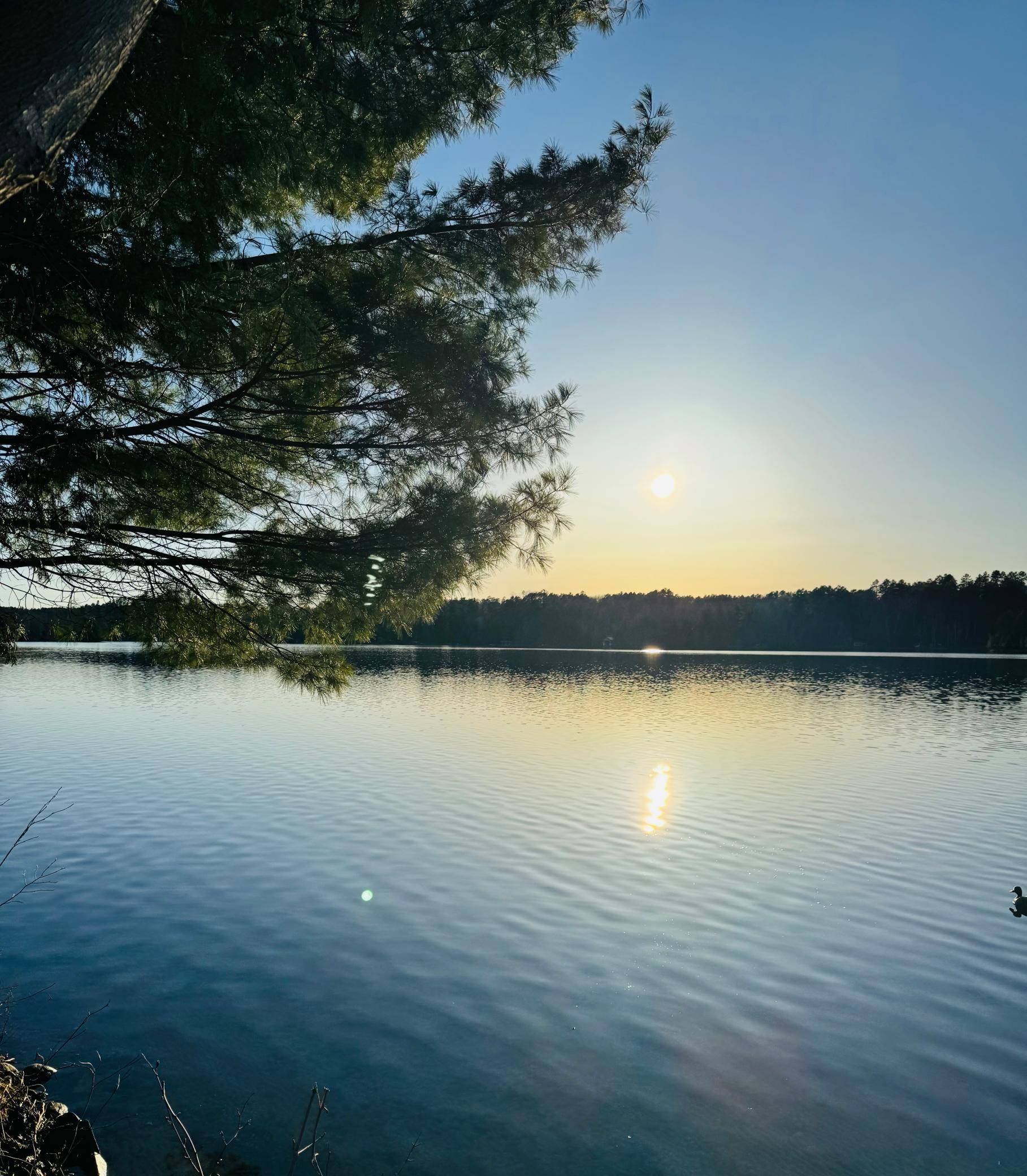 Remer, MN 56672,6348 S Thunder Lake DR NE