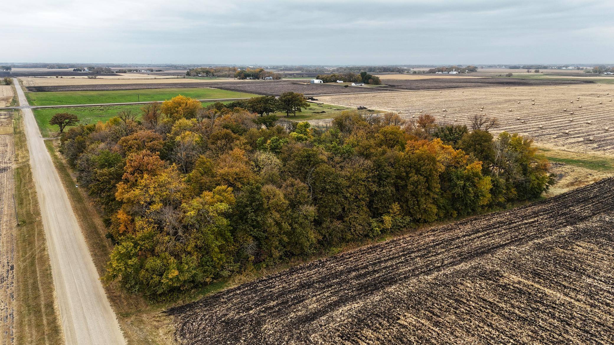 Arlington, MN 55307,XXX 200th ST