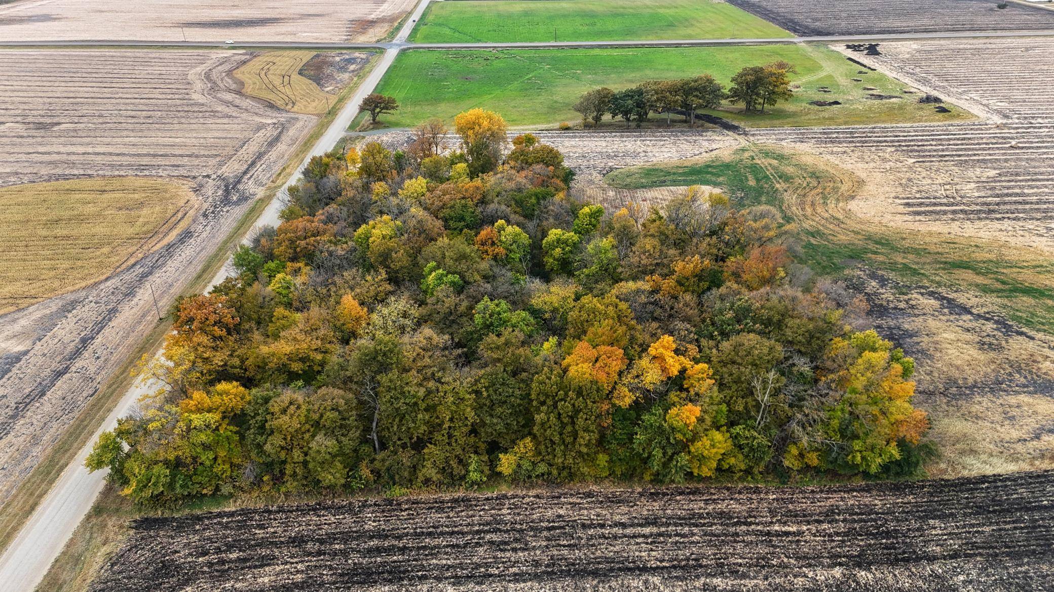 Arlington, MN 55307,XXX 200th ST