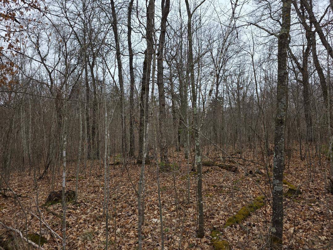 Scott Twp, WI 54830,Lot 8 Lukes Lane