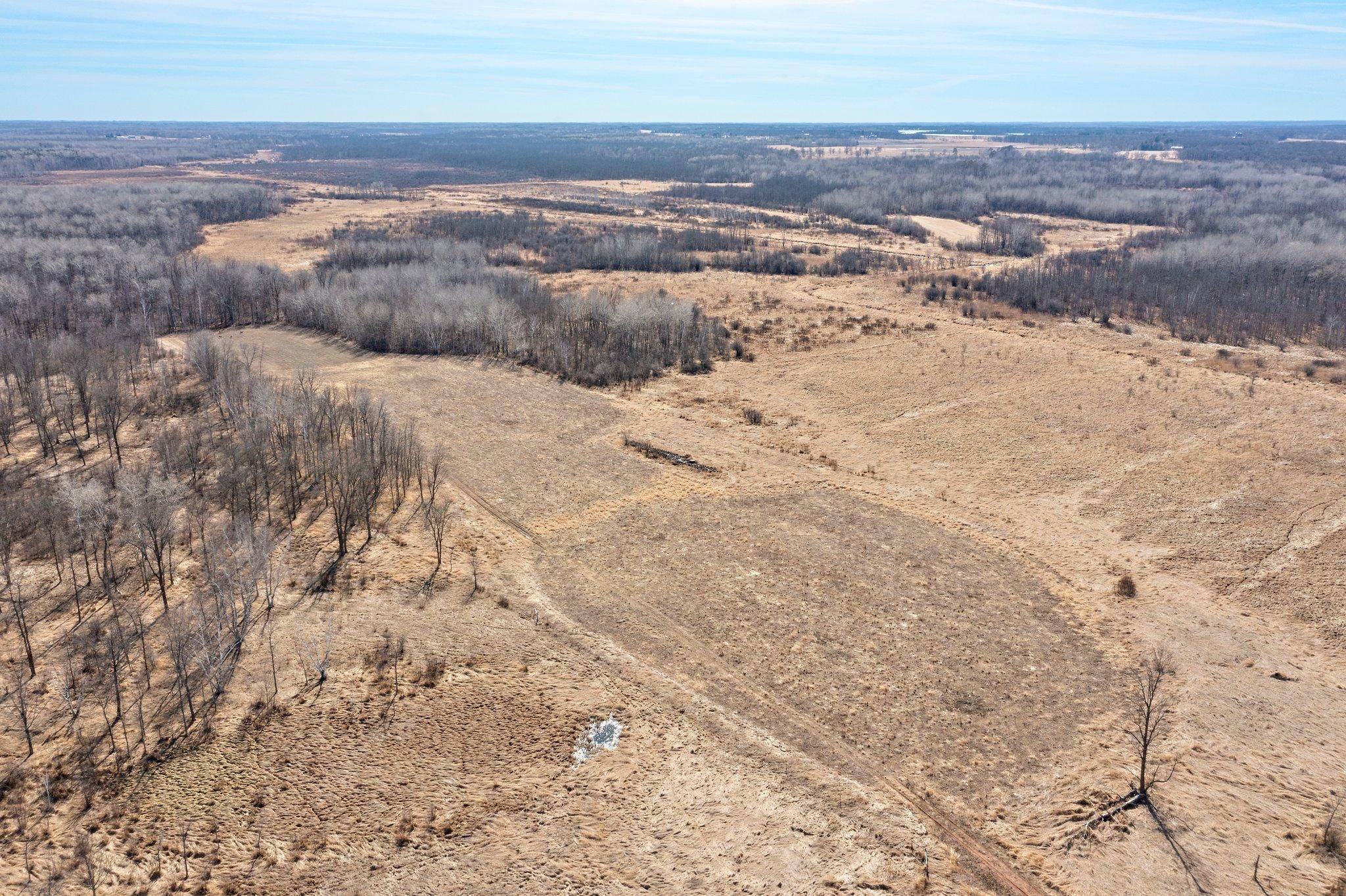 Pomroy Twp, MN 55007,XXXX 320th AVE