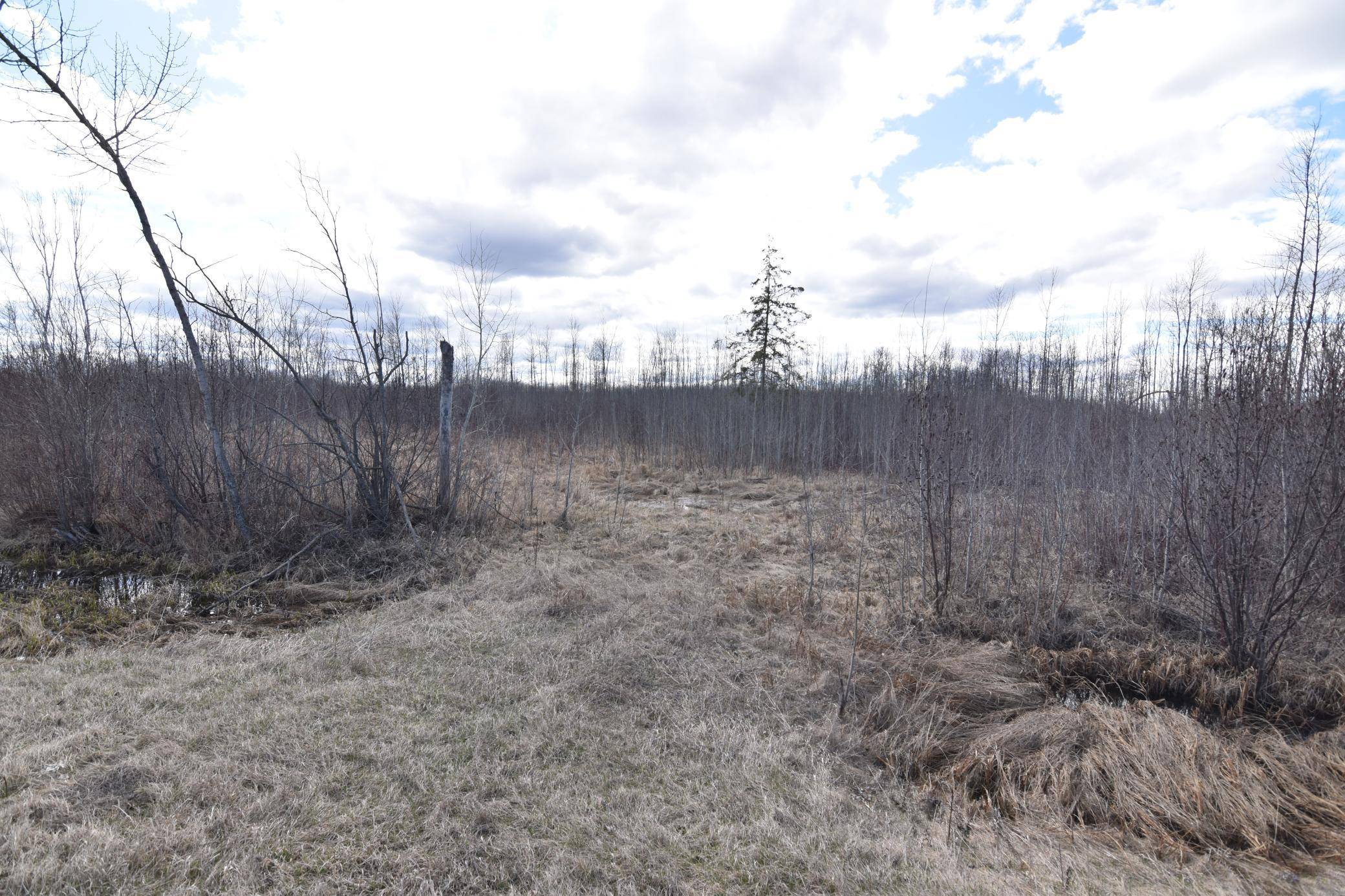 Boone Twp, MN 56623,21st SW Ave