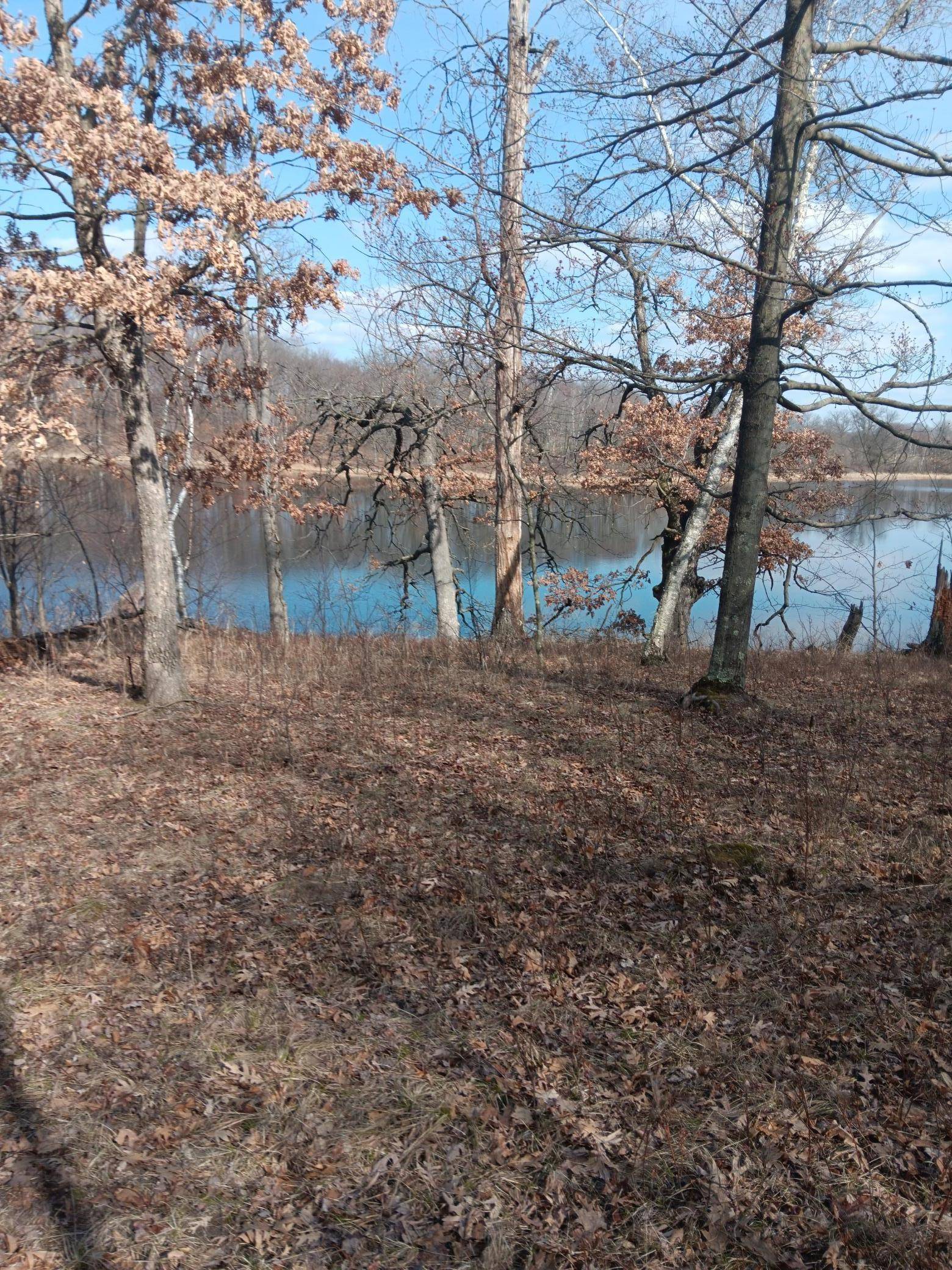 Scandia, MN 55047,19xxx Newgate AVE N