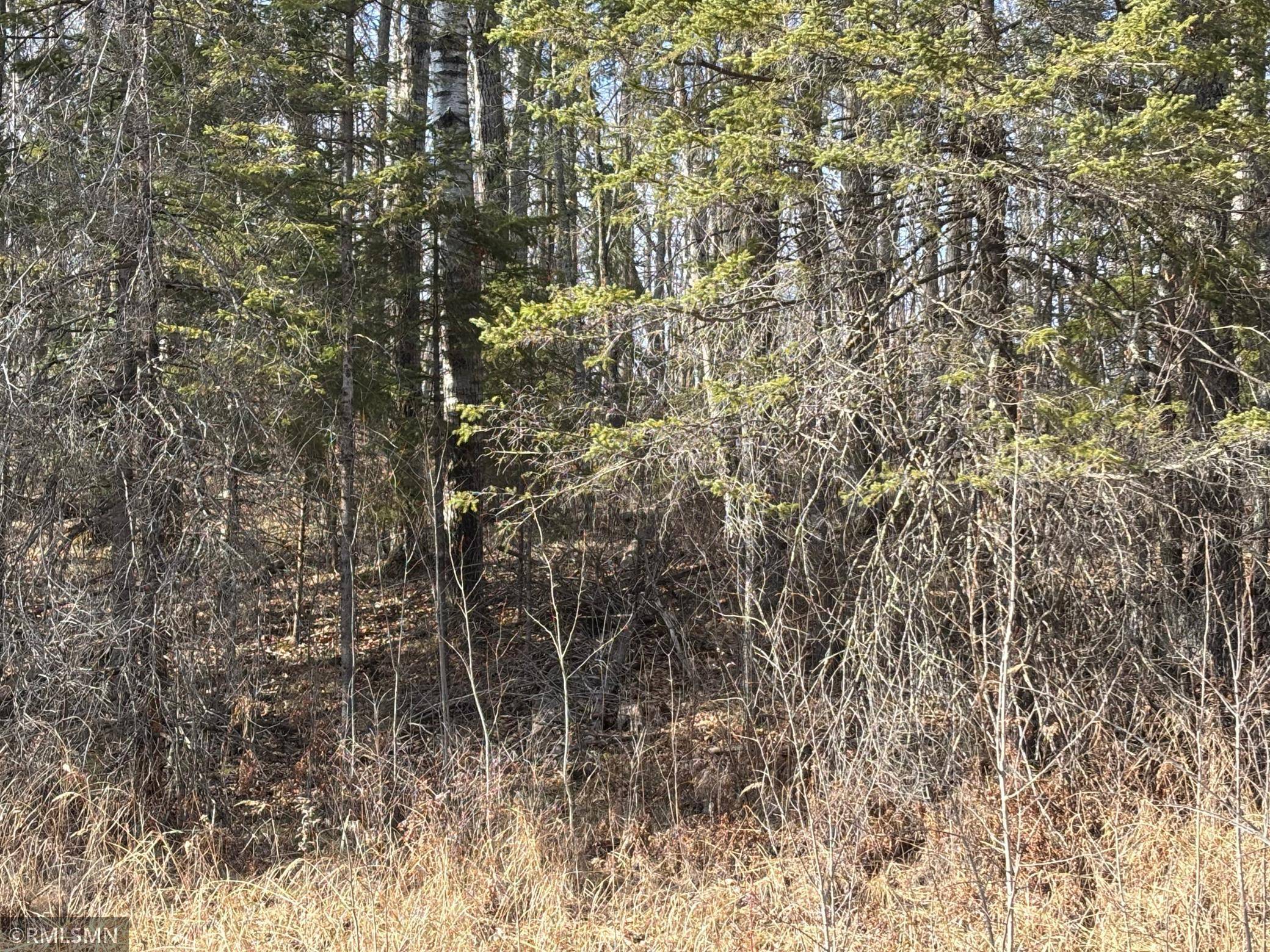 Palisade, MN 56469,48613 334th PL
