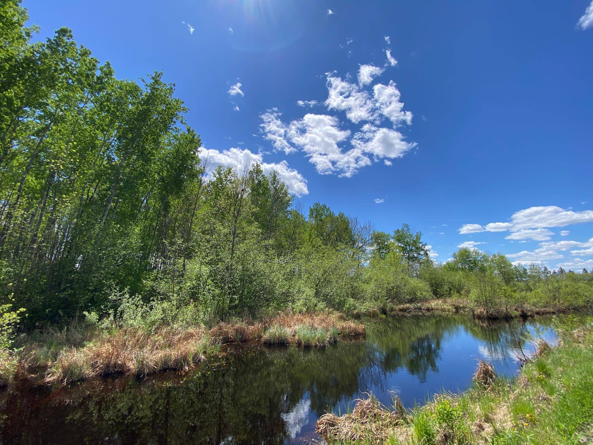 Salo Twp, MN 55760,16025 370th LN