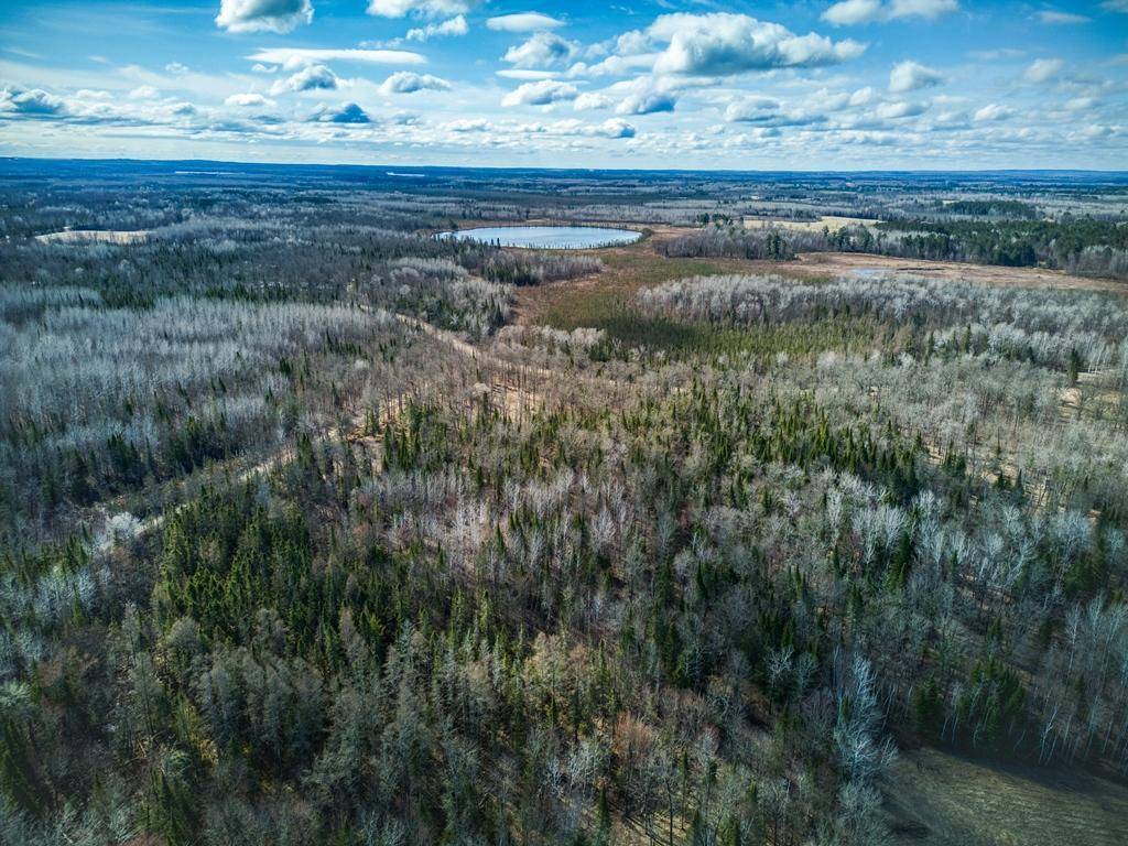 Grand Rapids, MN 55744,34780 Freestone RD