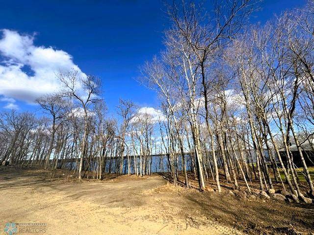 Maple Grove Twp, MN 56589,TRACT D County Road 112