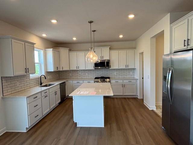 Lino Lakes, MN 55038,2153 Koronis CIR