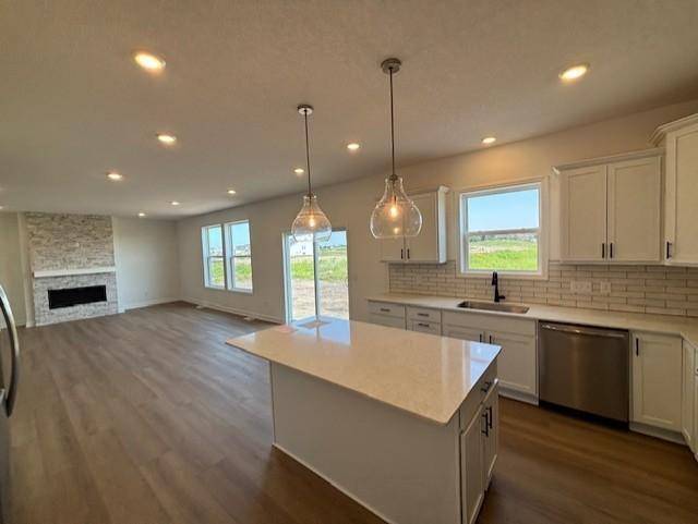 Lino Lakes, MN 55038,2153 Koronis CIR