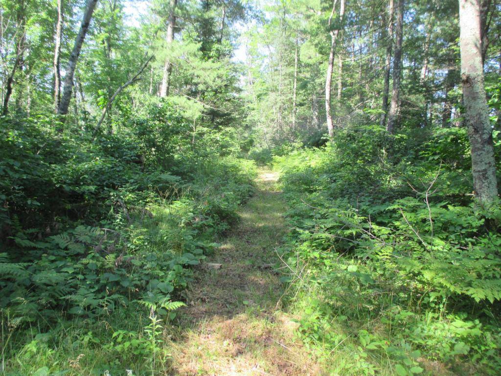 Couderay, WI 54828,Lot 2 State Road 27/70