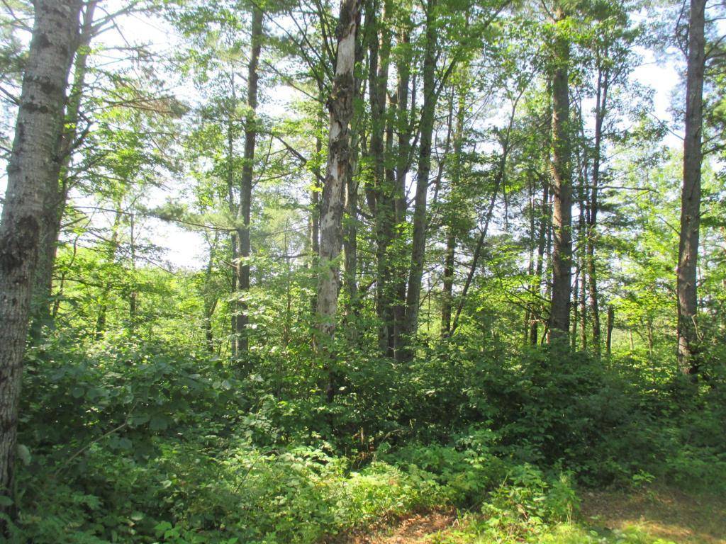 Couderay, WI 54828,Lot 2 State Road 27/70