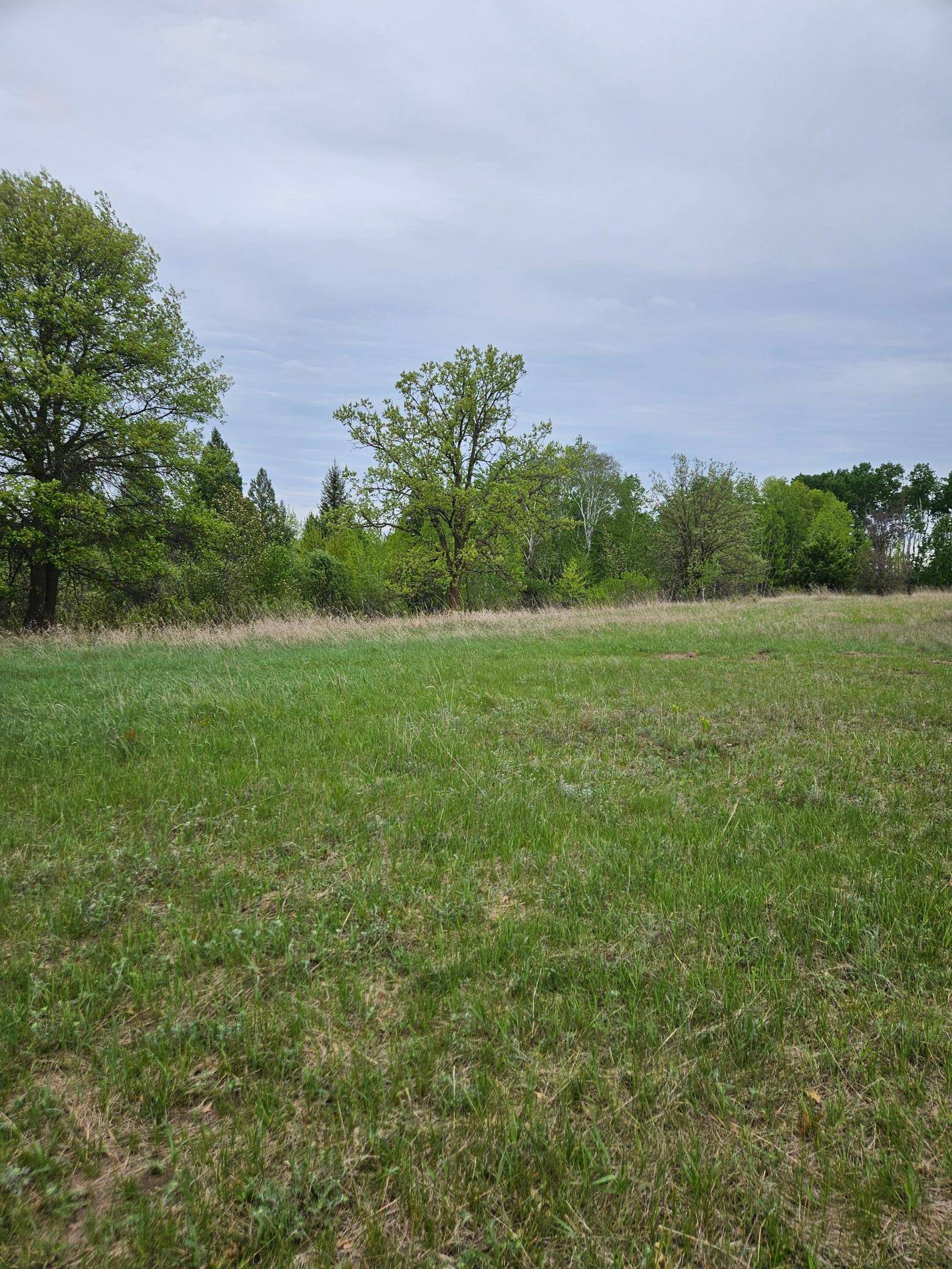 Sylvan Twp, MN 56473,tbd Pillager Creek TRL SW