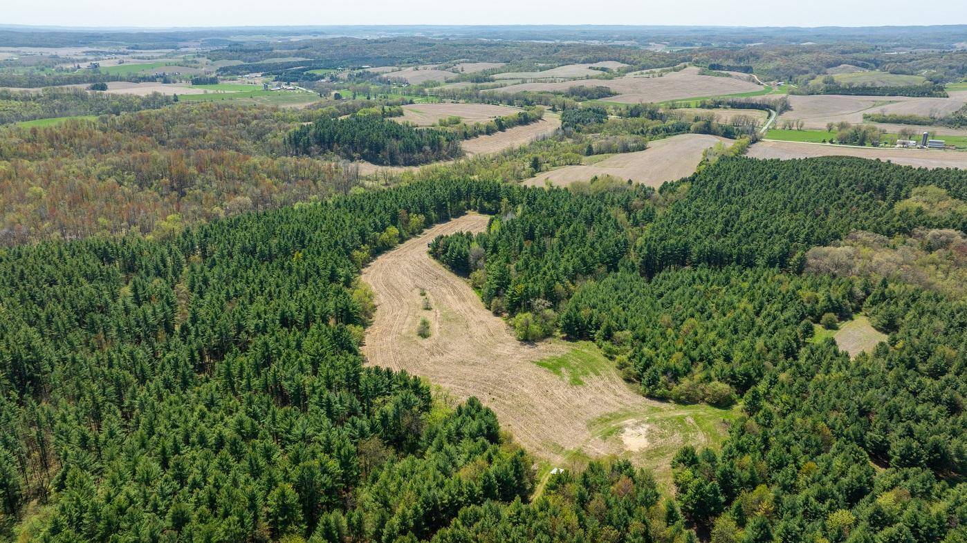 Hale Twp, WI 54758,N43922 Cr-O
