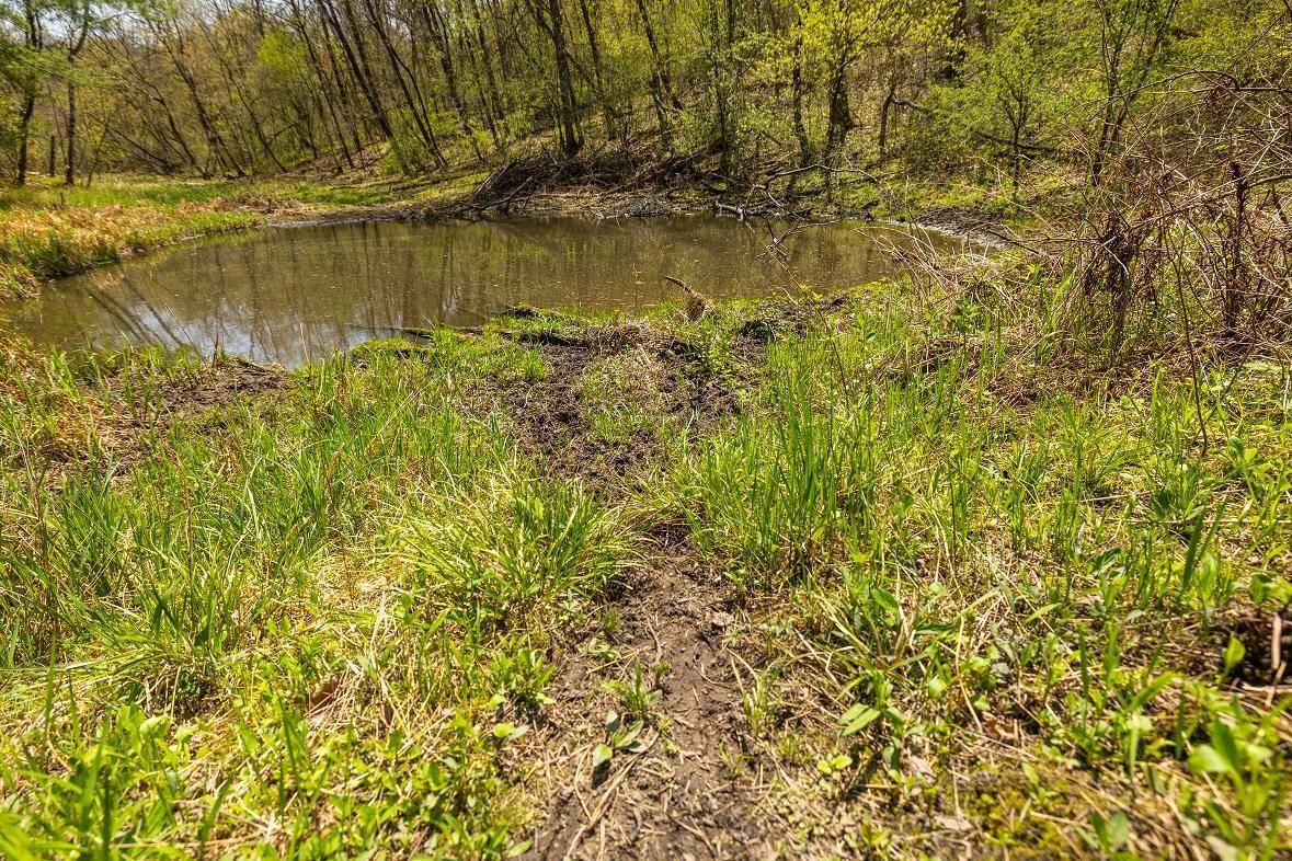 Hale Twp, WI 54758,N43922 Cr-O