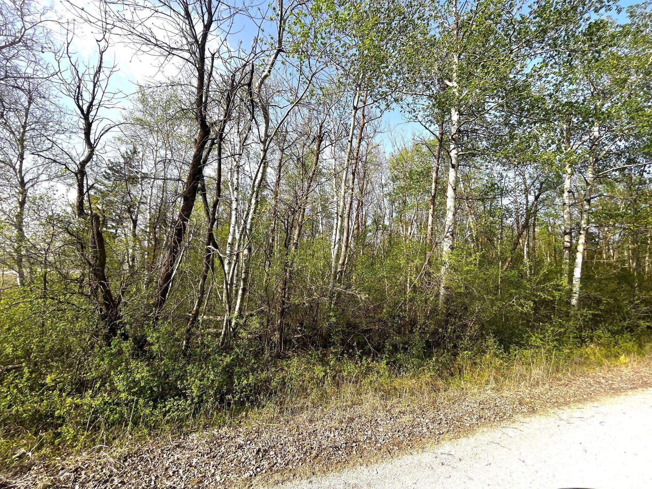 Warroad, MN 56763,TBD 585th AVE