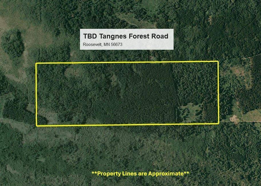 Roosevelt, MN 56673,TBD Tangnes Forest Road