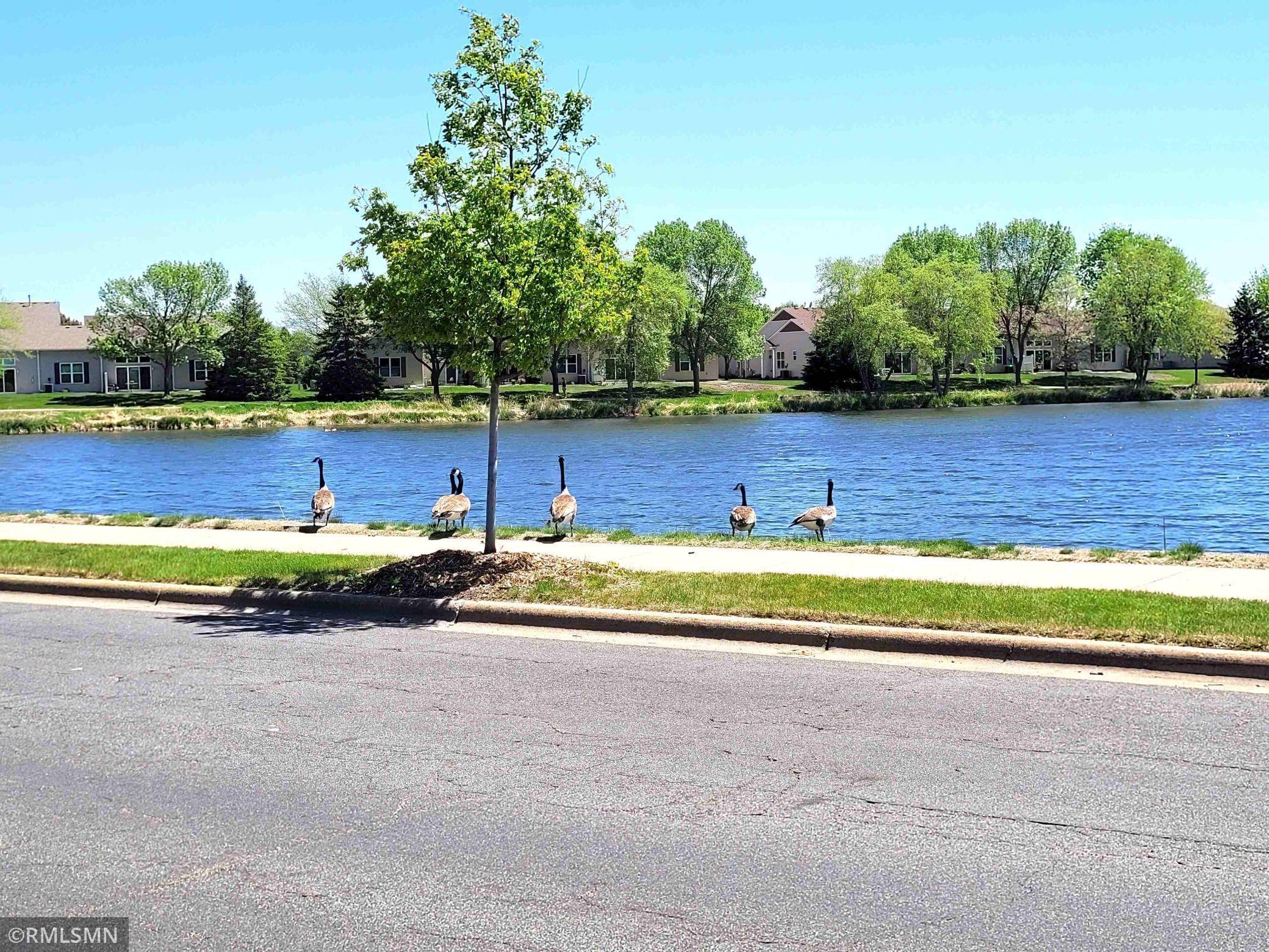 Blaine, MN 55449,11305 Fergus ST NE #D